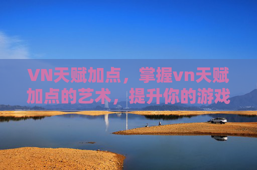 VN天赋加点，掌握vn天赋加点的艺术，提升你的游戏表现