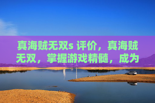 真海贼无双s 评价，真海贼无双，掌握游戏精髓，成为真正的海上霸主