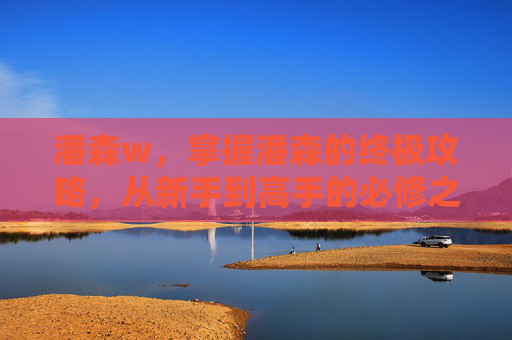 潘森w，掌握潘森的终极攻略，从新手到高手的必修之路