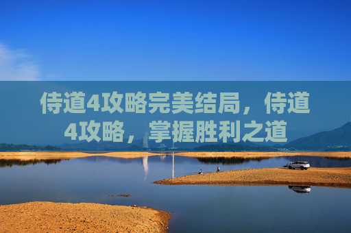 侍道4攻略完美结局，侍道4攻略，掌握胜利之道