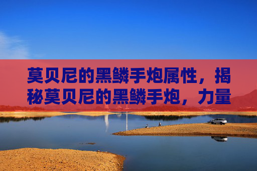 莫贝尼的黑鳞手炮属性，揭秘莫贝尼的黑鳞手炮，力量与美学的完美结合
