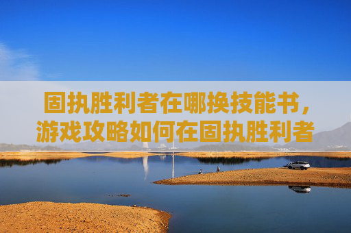固执胜利者在哪换技能书，游戏攻略如何在固执胜利者中高效换装备