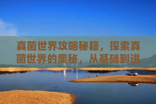真菌世界攻略秘籍，探索真菌世界的奥秘，从基础到进阶的全面攻略