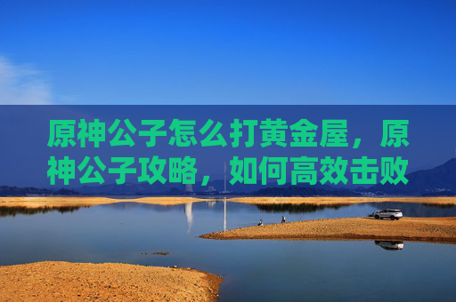 原神公子怎么打黄金屋，原神公子攻略，如何高效击败这位神秘角色