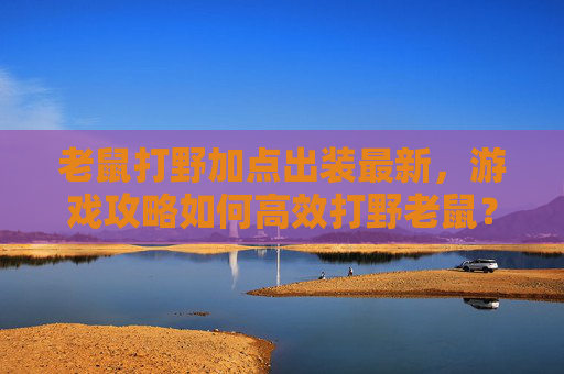 老鼠打野加点出装最新,游戏攻略如何高效打野老鼠?加点与出装技巧全解析 老鼠打野加点出装最新,游戏攻略如何高效打野老鼠?加点与出装技巧全解析
