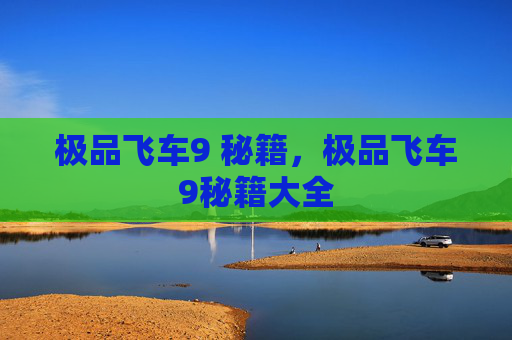 极品飞车9 秘籍，极品飞车9秘籍大全