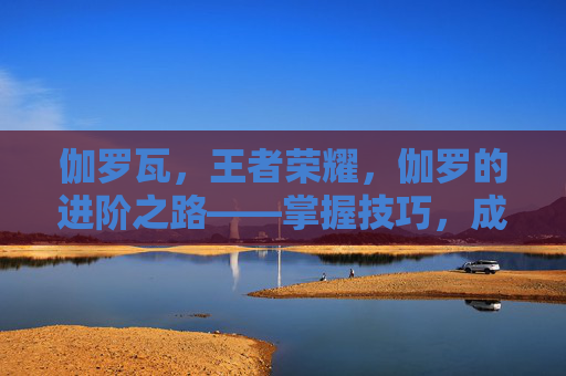 伽罗瓦，王者荣耀，伽罗的进阶之路——掌握技巧，成为场上的焦点
