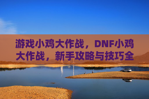 游戏小鸡大作战，DNF小鸡大作战，新手攻略与技巧全解析