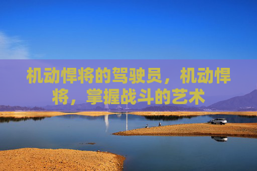 机动悍将的驾驶员，机动悍将，掌握战斗的艺术
