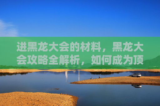 进黑龙大会的材料，黑龙大会攻略全解析，如何成为顶级玩家的秘诀