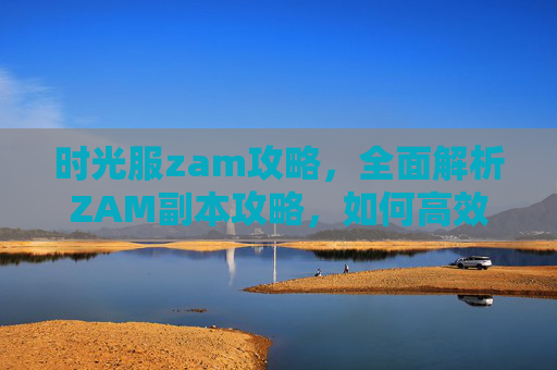 时光服zam攻略，全面解析ZAM副本攻略，如何高效击败ZAM团队