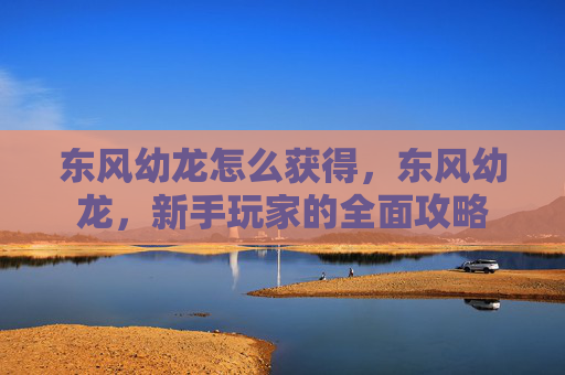 东风幼龙怎么获得，东风幼龙，新手玩家的全面攻略