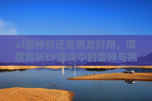 cf雷神好还是黑龙好用，深度解析CF游戏中的雷神与黑龙，谁才是你的终极武器？