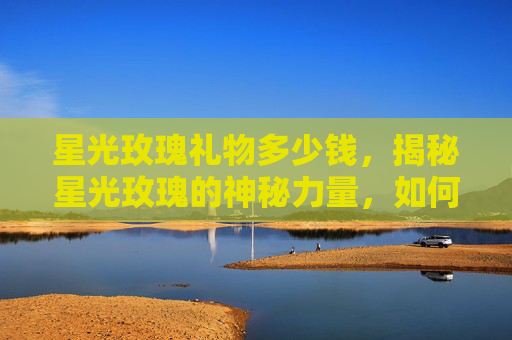 星光玫瑰礼物多少钱，揭秘星光玫瑰的神秘力量，如何成为真正的游戏高手？