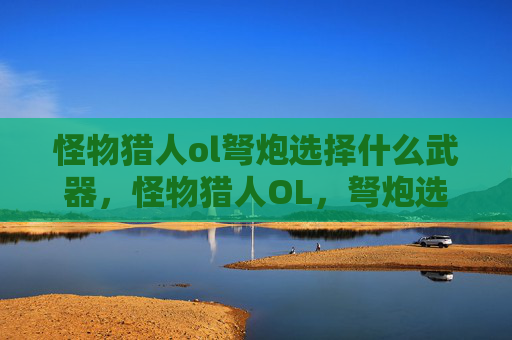 怪物猎人ol弩炮选择什么武器，怪物猎人OL，弩炮选择指南