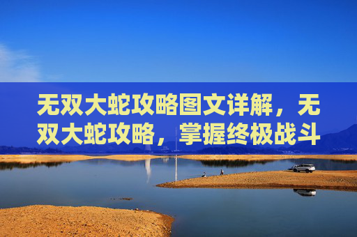 无双大蛇攻略图文详解，无双大蛇攻略，掌握终极战斗的艺术