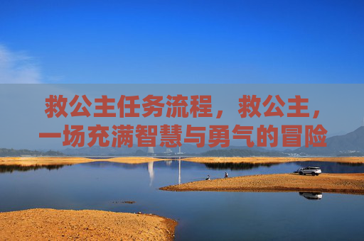 救公主任务流程，救公主，一场充满智慧与勇气的冒险之旅
