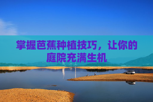 掌握芭蕉种植技巧，让你的庭院充满生机
