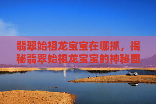 翡翠始祖龙宝宝在哪抓，揭秘翡翠始祖龙宝宝的神秘面纱