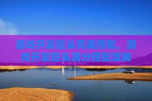 游戏开发巨头完美搭配，游戏开发巨头满分搭配攻略