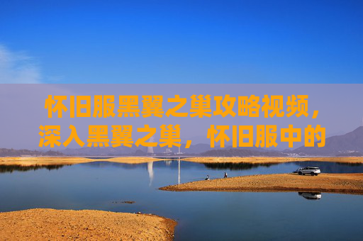 怀旧服黑翼之巢攻略视频，深入黑翼之巢，怀旧服中的终极挑战攻略