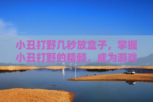 小丑打野几秒放盒子，掌握小丑打野的精髓，成为游戏中的终极刺客