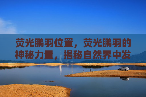 荧光鹏羽位置，荧光鹏羽的神秘力量，揭秘自然界中发光生物的奥秘