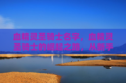 血精灵圣骑士名字，血精灵圣骑士的崛起之路，从新手到高手的全面攻略