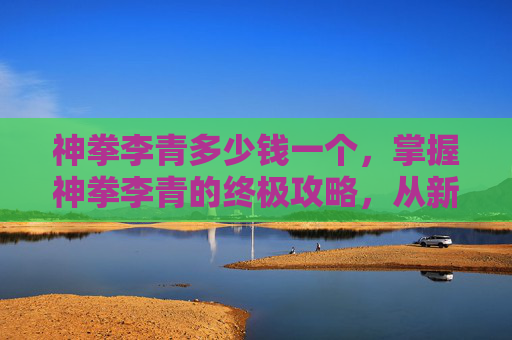 神拳李青多少钱一个，掌握神拳李青的终极攻略，从新手到高手的蜕变之路