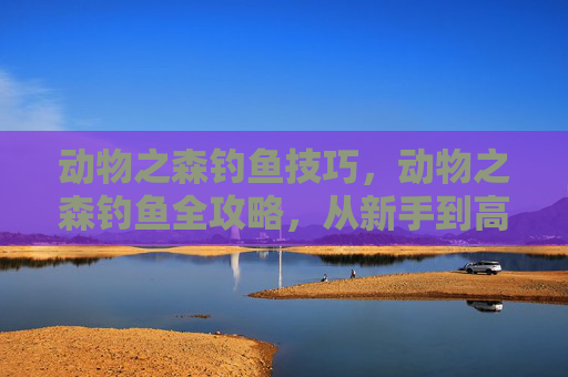 动物之森钓鱼技巧，动物之森钓鱼全攻略，从新手到高手的必备技巧