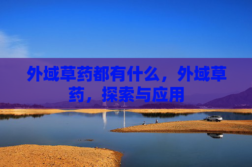 外域草药都有什么，外域草药，探索与应用