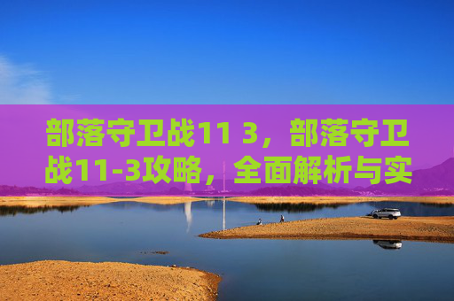 部落守卫战11 3，部落守卫战11-3攻略，全面解析与实用技巧