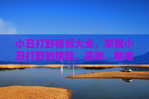 小丑打野视频大全，掌握小丑打野的精髓，高效、精准与策略