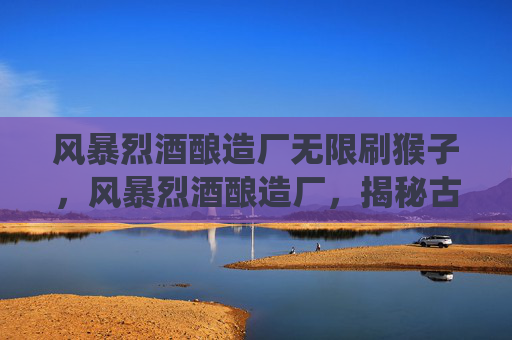 风暴烈酒酿造厂无限刷猴子，风暴烈酒酿造厂，揭秘古老酿酒工艺的现代演绎