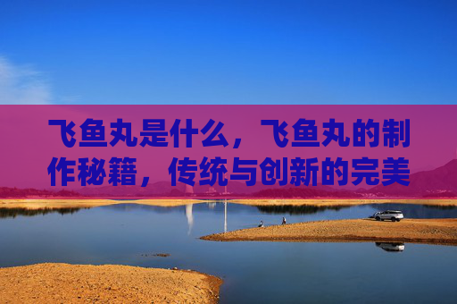 飞鱼丸是什么，飞鱼丸的制作秘籍，传统与创新的完美融合