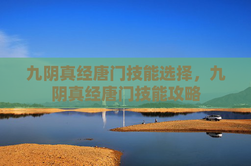 九阴真经唐门技能选择，九阴真经唐门技能攻略