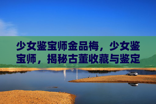 少女鉴宝师金品梅，少女鉴宝师，揭秘古董收藏与鉴定的奥秘
