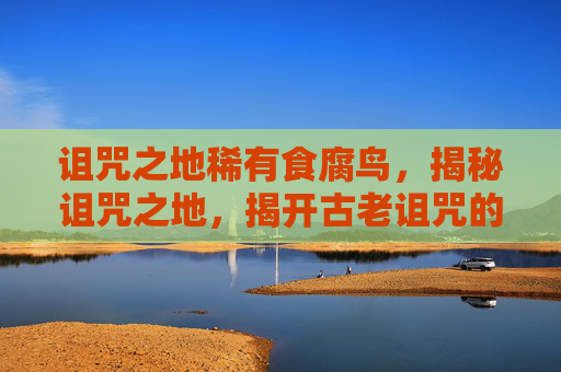 诅咒之地稀有食腐鸟，揭秘诅咒之地，揭开古老诅咒的神秘面纱