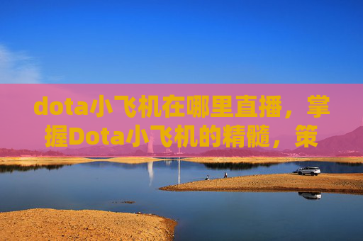 dota小飞机在哪里直播，掌握Dota小飞机的精髓，策略与技巧全解析