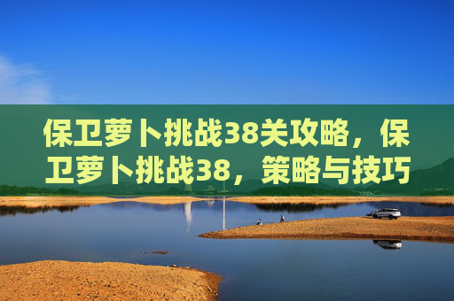 保卫萝卜挑战38关攻略，保卫萝卜挑战38，策略与技巧全解析