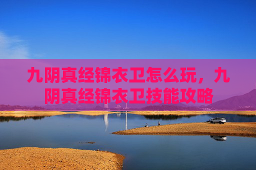 九阴真经锦衣卫怎么玩，九阴真经锦衣卫技能攻略