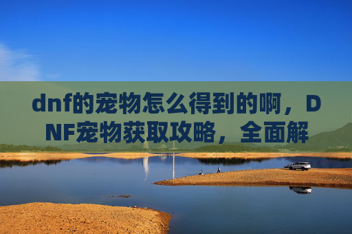 dnf的宠物怎么得到的啊，DNF宠物获取攻略，全面解析如何获得你的专属宠物