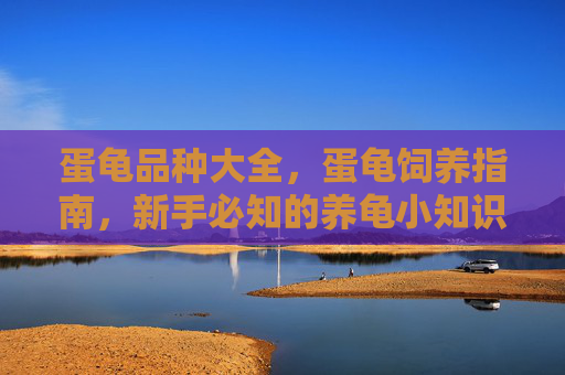 蛋龟品种大全，蛋龟饲养指南，新手必知的养龟小知识