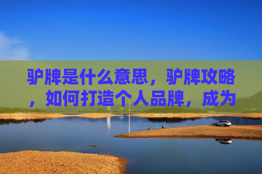驴牌是什么意思,驴牌攻略,如何打造个人品牌,成为社交媒体上的焦点 驴牌是什么意思,驴牌攻略,如何打造个人品牌,成为社交媒体上的焦点