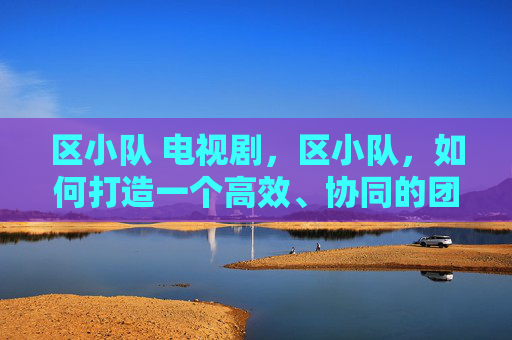 区小队 电视剧，区小队，如何打造一个高效、协同的团队