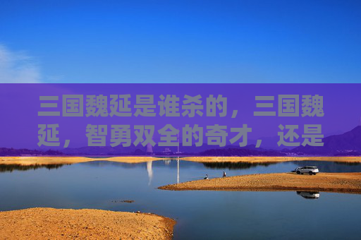 三国魏延是谁杀的,三国魏延,智勇双全的奇才,还是野心勃勃的叛将? 三国魏延是谁杀的,三国魏延,智勇双全的奇才,还是野心勃勃的叛将?