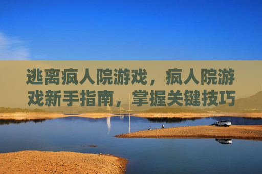 逃离疯人院游戏，疯人院游戏新手指南，掌握关键技巧，解锁游戏乐趣