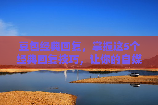 豆包经典回复，掌握这5个经典回复技巧，让你的自媒体内容更吸引人！