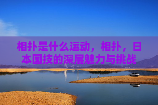 相扑是什么运动,相扑,日本国技的深层魅力与挑战 相扑是什么运动,相扑,日本国技的深层魅力与挑战