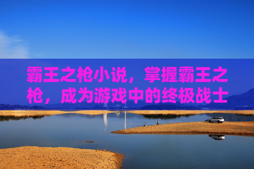 霸王之枪小说,掌握霸王之枪,成为游戏中的终极战士 霸王之枪小说,掌握霸王之枪,成为游戏中的终极战士